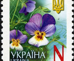 Марка Pansy - Viola Tricolor (N), Україна 2006