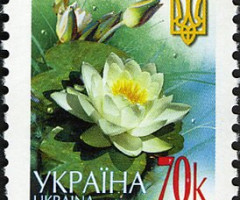 Марка White water-lily, Україна 2006