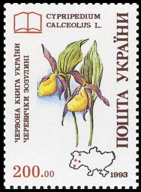 Марка Cypripedium calceolus L, Україна 1994