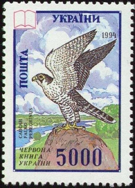 Марка Сапсан (Falco peregrinus), Україна 1995