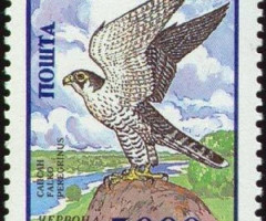 Марка Сапсан (Falco peregrinus), Україна 1995