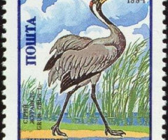 Марка Сірий журавель (Grus grus), Україна 1995