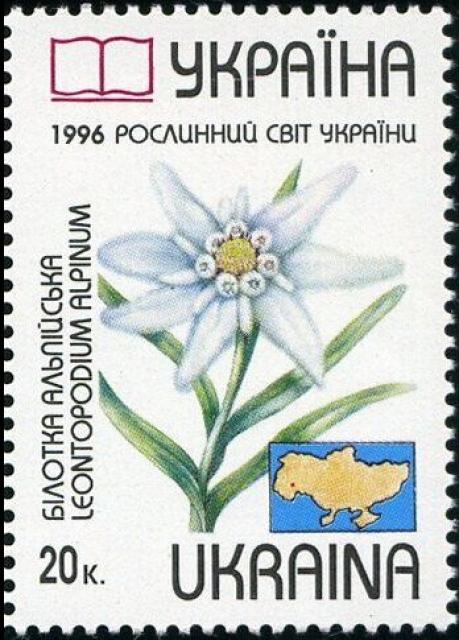 Марка Пролісок альпійський (Leontopodium alpinum), Україна 1996