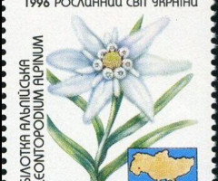 Марка Пролісок альпійський (Leontopodium alpinum), Україна 1996
