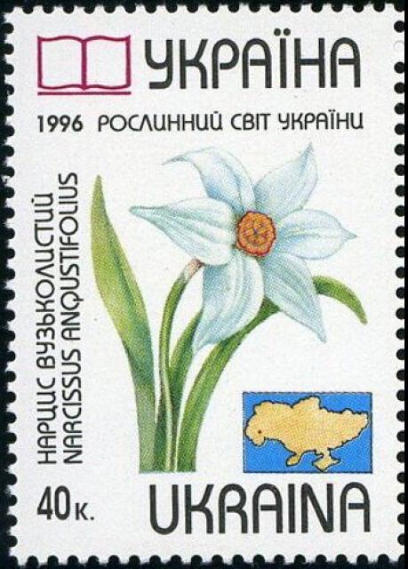 Марка Нарцис вузьколистий (Narcissus anqustifolius), Україна 1996