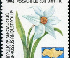 Марка Нарцис вузьколистий (Narcissus anqustifolius), Україна 1996