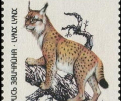 Марка Рись звичайна (Felis lynx), Україна 1997