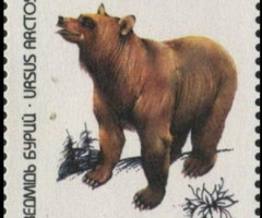 Марка Бурий ведмідь (Ursus arctos), Україна 1997
