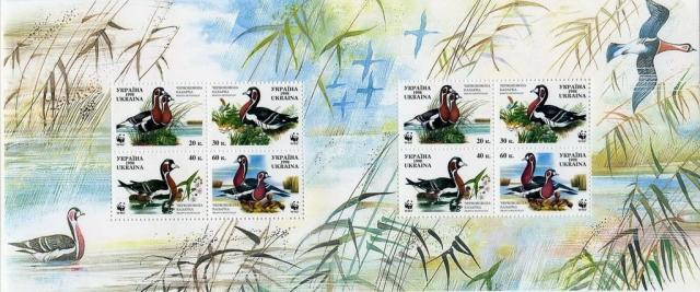 Марки Бранта руфіколіс, Україна 1998