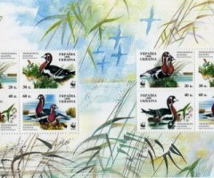 Марки Бранта руфіколіс, Україна 1998