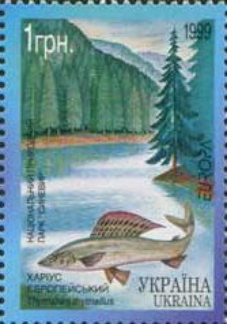Марка Харіус європейський (Thymallus thymallus), Україна 1999
