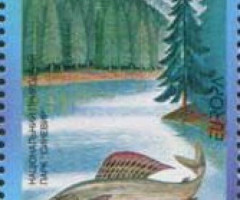 Марка Харіус європейський (Thymallus thymallus), Україна 1999