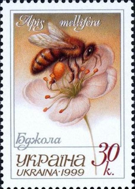 Марка Бджола, Україна 1999
