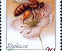 Марка Бджола, Україна 1999
