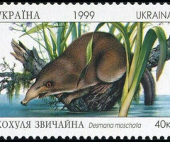 Марка Десмана мошата (Desmana moschata), Україна 1999