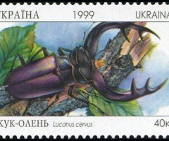 Марка Жук-олень (Gyps fulfus), Україна 1999