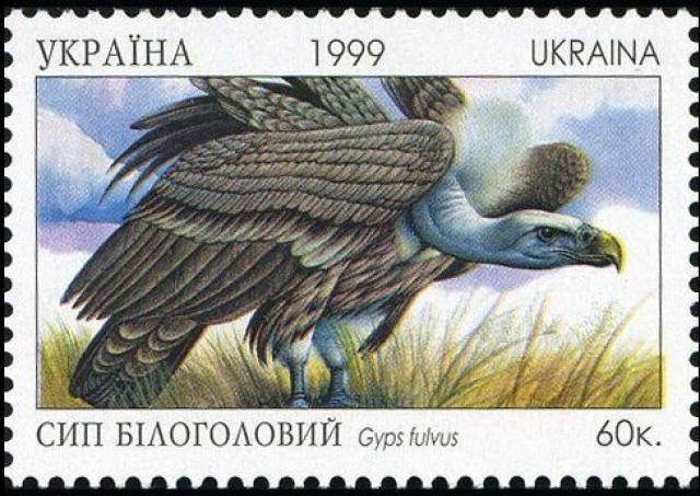 Марка Білоголовий гриф (Lucanus cervus), Україна 1999