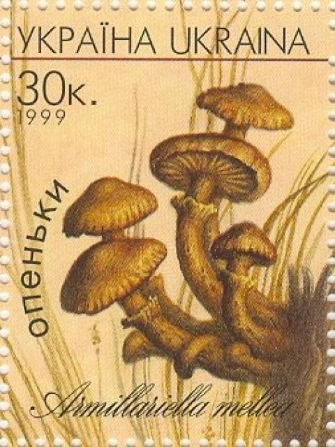 Марка Гриби (Armillariella mellea), Україна 1999