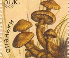 Марка Гриби (Armillariella mellea), Україна 1999