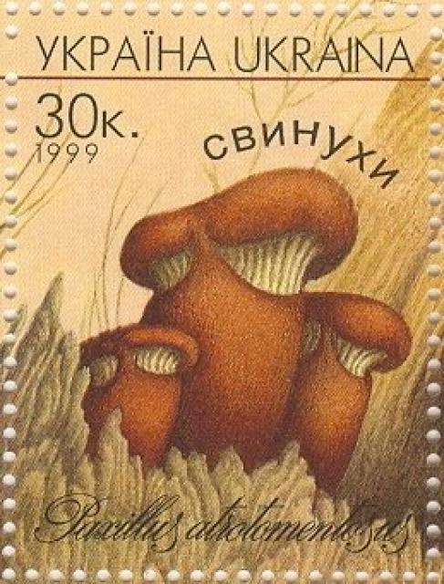 Марка Дикобрази (Paxillus atrotomentosus), Україна 1999
