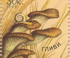 Марка Гливи (Pleurotus ostreatus), Україна 1999