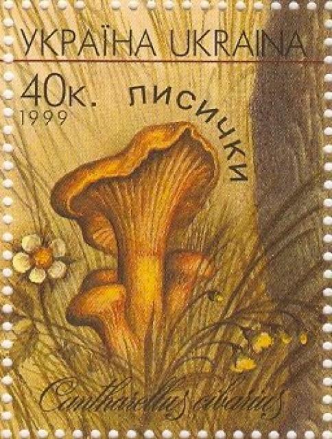 Марка Лисички (Cantharellus cibarius), Україна 1999