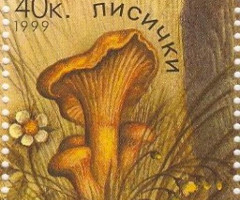 Марка Лисички (Cantharellus cibarius), Україна 1999