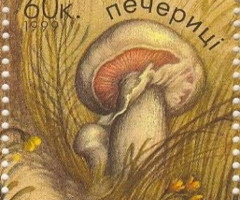 Марка Гриби (Agaricus campester), Україна 1999