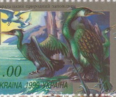 Марка Карадазький природний заповідник, Україна 1999