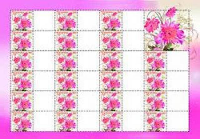 Марки Квіти, Україна 2007