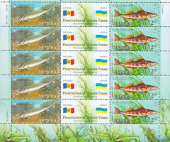 Марки Російський осетер (Acipenser gueldenstaedtii), звичайний Цінгель, Україна 2007