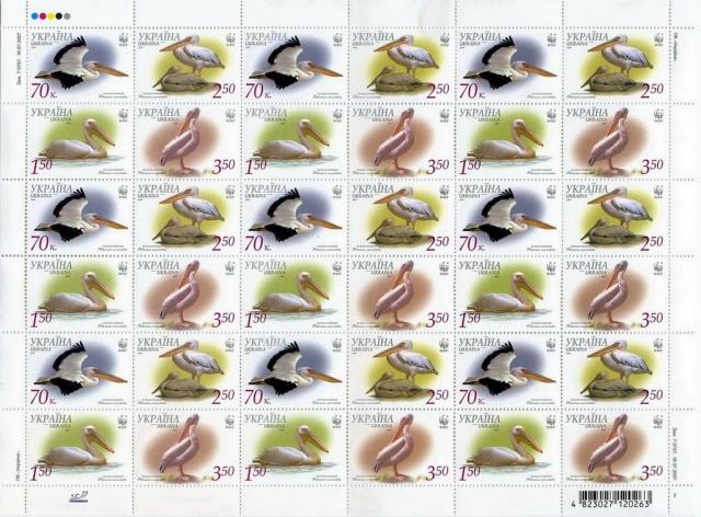 Марки Великий білий пелікан (Pelecanus onocrotalus), Україна 2007