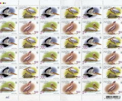 Марки Великий білий пелікан (Pelecanus onocrotalus), Україна 2007