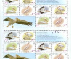 Марки Великий білий пелікан (Pelecanus onocrotalus), Україна 2007