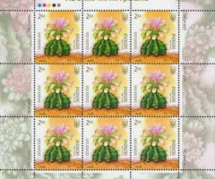 Марки Гімнокаліціум анісіці, Україна 2014