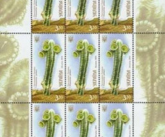 Марки Пілосоцереус пальмері, Україна 2014