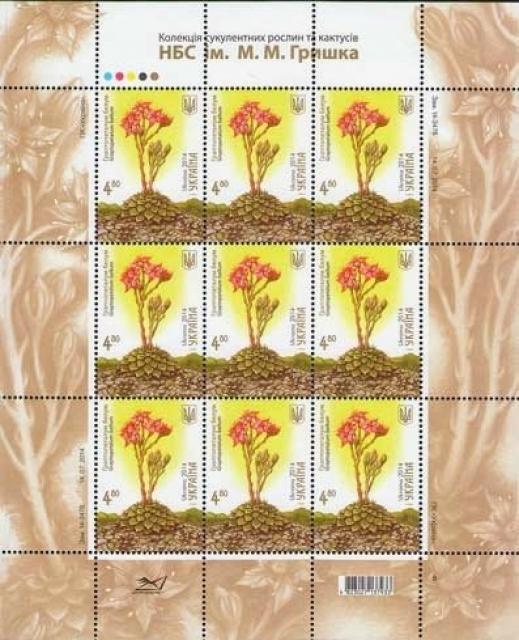 Марки Граптопеталум беллум, Україна 2014