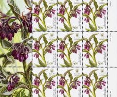 Марки симфітум лікарський (Symphytum officinale), Україна 2017