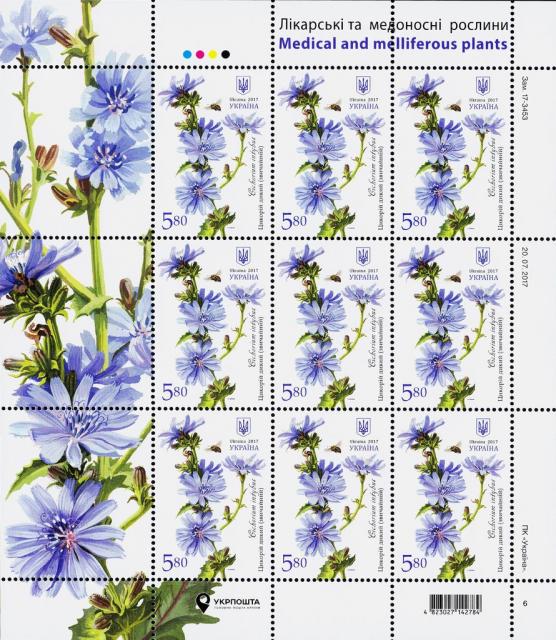 Марки Цикорій звичайний (Cichorium intybus), Україна 2017