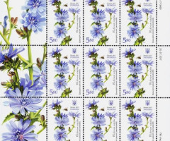 Марки Цикорій звичайний (Cichorium intybus), Україна 2017