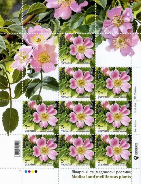 Марки Роза собача L, Україна 2018