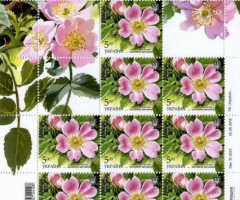 Марки Роза собача L, Україна 2018