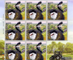 Марки Білий лелека (Ciconia ciconia), Україна 2019