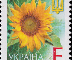 Марка Соняшник, Україна 2004