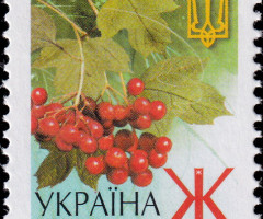 Марка Guelder-rose, Україна 2003