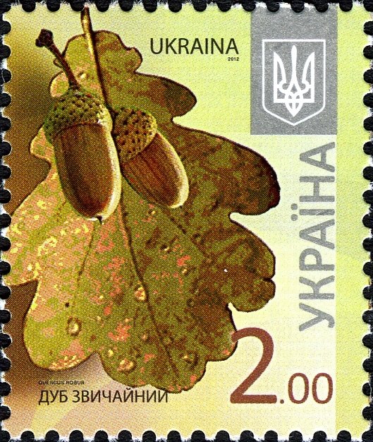 Марка Дуб черешчастий (Quercus robur), Україна 2012