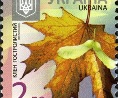 Марка Norway Maple (Acer platanoides), Україна 2012