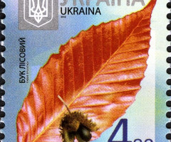 Марка Beech (Fagus sylvatica), Україна 2012