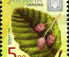 Марка Alder (Alnus incana), Україна 2012