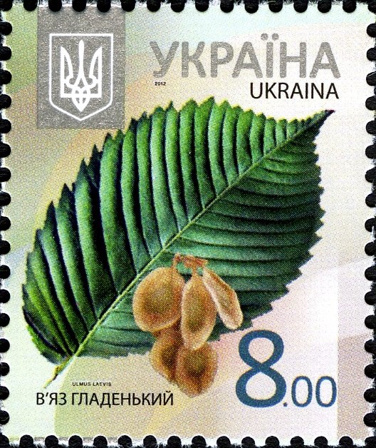 Марка European White Elm (Ulmus laevis), Україна 2012